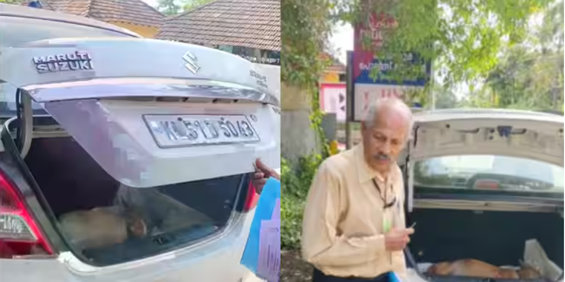 തെരുവുനായയുടെ അഴുകിയ ജഡം സ്വന്തം കാറിൽ കയറ്റി  പൊലീസ് സ്റ്റേഷനിൽ കൊണ്ടുവന്ന സംഭവം: വയോധികനെതിരെ കേസ്