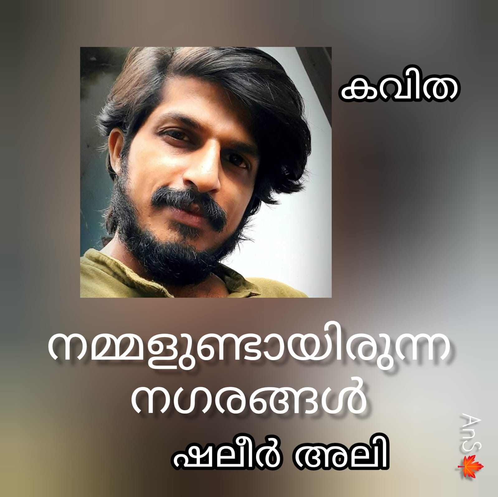 നമ്മളുണ്ടായിരുന്ന നഗരങ്ങൾ ( കവിത: ഷലീർ അലി )