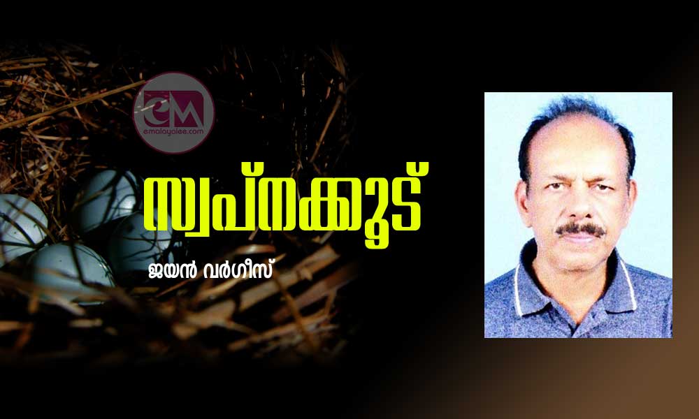 സ്വപ്നക്കൂട്  (കവിത: ജയൻ വർഗീസ്)
