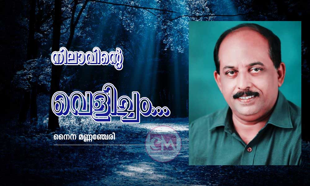 നിലാവിന്റെ വെളിച്ചം...(കഥ : നൈന മണ്ണഞ്ചേരി)