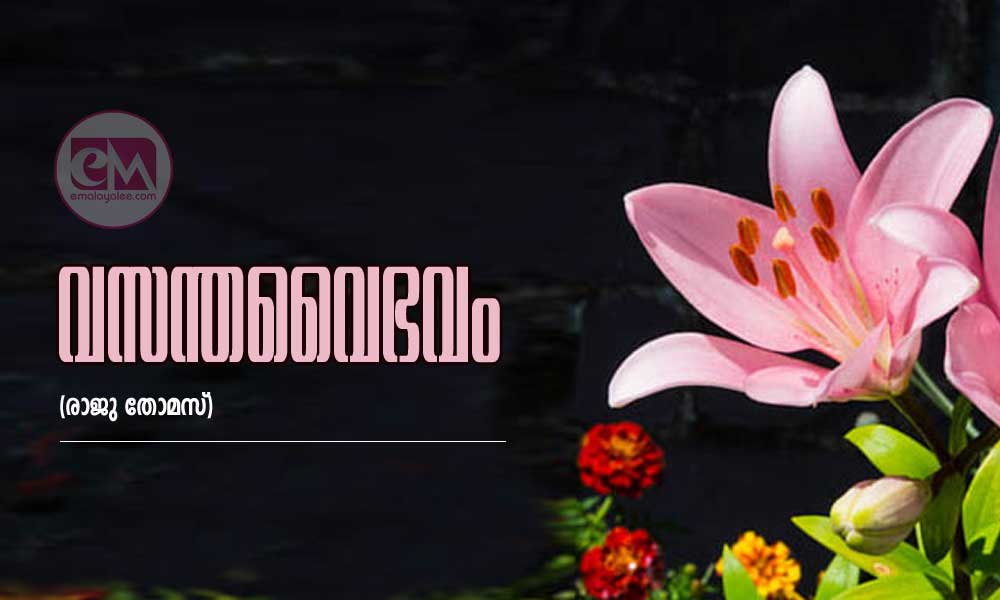 വസന്തവൈഭവം (രാജു തോമസ്)