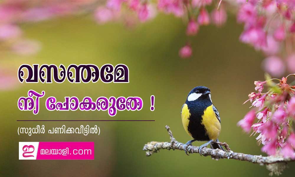 വസന്തമേ നീ പോകരുതേ ! (സുധീർ പണിക്കവീട്ടിൽ)
