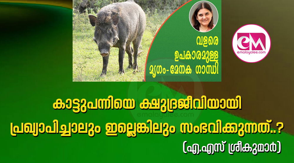 കാട്ടുപന്നിയെ ക്ഷുദ്രജീവിയായി പ്രഖ്യാപിച്ചാലും ഇല്ലെങ്കിലും സംഭവിക്കുന്നത്..?  (എ.എസ് ശ്രീകുമാര്‍)