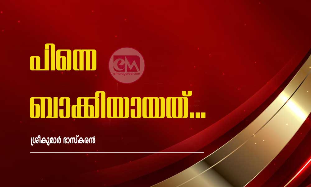 പിന്നെ ബാക്കിയായത്...(കഥ: ശ്രീകുമാർ ഭാസ്കരൻ)