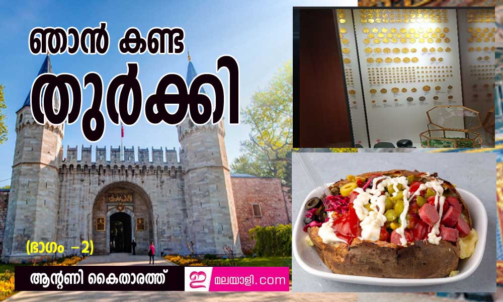 ഞാൻ കണ്ട തുർക്കി (ഭാഗം -2: ആന്റണി കൈതാരത്ത്‌)
