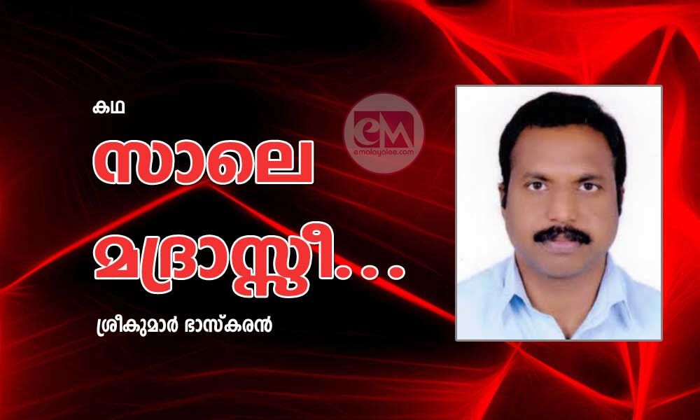 സാലെ മദ്രാസ്സീ...(കഥ: ശ്രീകുമാർ ഭാസ്കരൻ )