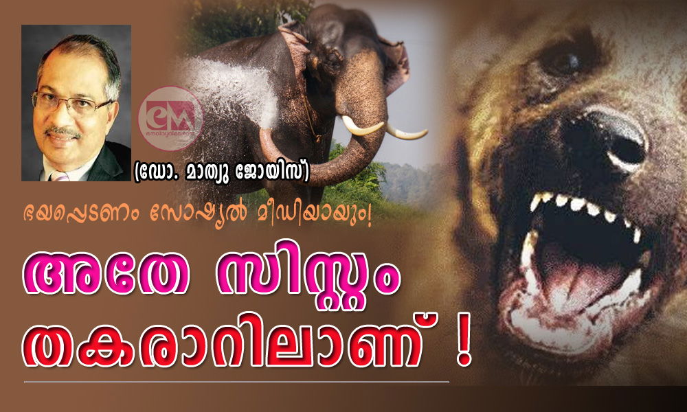 അതേ, സിസ്റ്റം തകരാറിലാണ്! (ഡോ. മാത്യു ജോയിസ്)