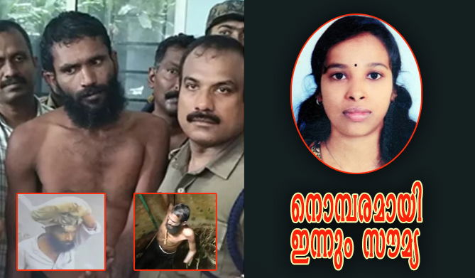 ഗോവിന്ദച്ചാമിയുടെ ജയില്‍ ചാട്ടം: കണ്ണൂര്‍ സെന്‍ട്രല്‍ ജയിലില്‍ സംഭവിച്ചത് ഗുരുതര സുരക്ഷാ വീഴ്ച  (എ.എസ് ശ്രീകുമാര്‍)