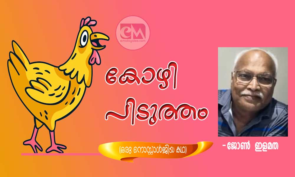 കോഴി പിടുത്തം (ഒരു നൊസ്റ്റാൾജിയ കഥ: ജോൺ  ഇളമത)