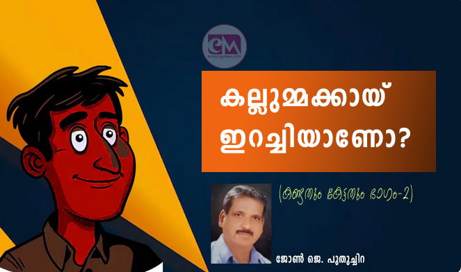 കല്ലുമ്മക്കായ് ഇറച്ചിയാണോ? (കണ്ടതും കേട്ടതും ഭാഗം-2: ജോണ്‍ ജെ. പുതുച്ചിറ)