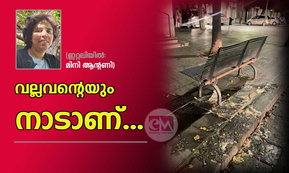 വല്ലവന്റെയും നാടാണ് .. ( ഇറ്റലിയിൽ : മിനി ആന്റണി )