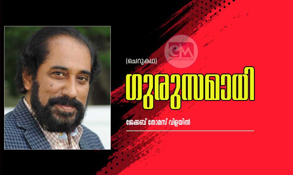 ഗുരുസമാധി (ചെറുകഥ: ജേക്കബ് തോമസ് വിളയില്‍) 