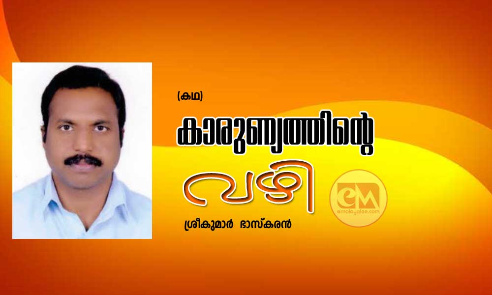 കാരുണ്യത്തിന്റെ വഴി (കഥ: ശ്രീകുമാർ  ഭാസ്കരൻ)