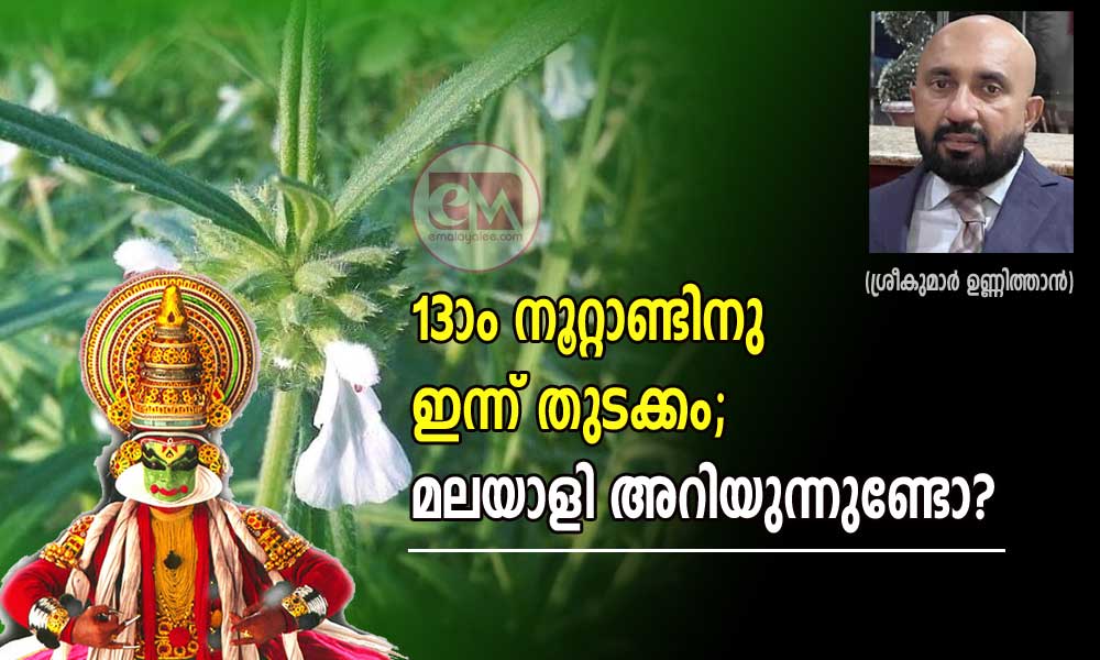 13–ാം നൂറ്റാണ്ടിനു ഇന്ന് തുടക്കം; മലയാളി അറിയുന്നുണ്ടോ? (ശ്രീകുമാർ ഉണ്ണിത്താൻ)