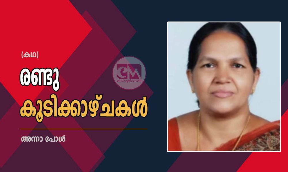 രണ്ടു കൂടിക്കാഴ്ചകൾ (കഥ : അന്നാ പോൾ )
