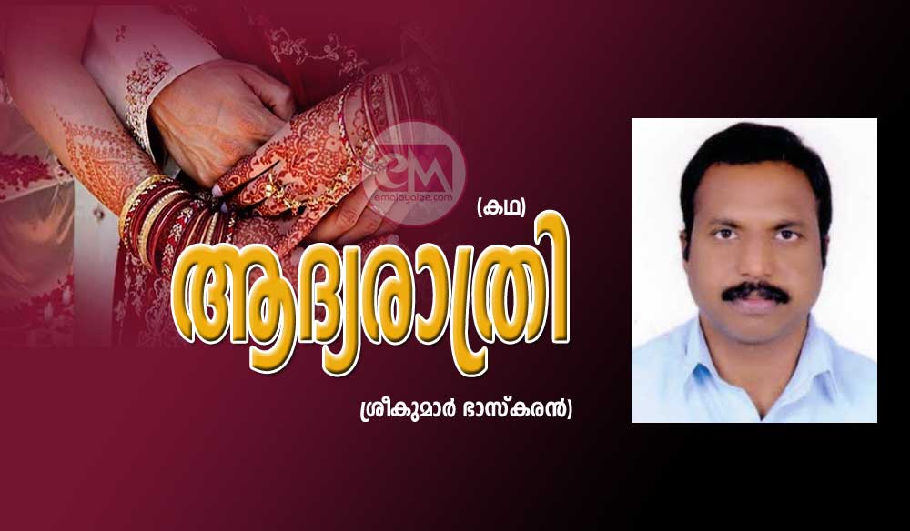 ആദ്യരാത്രി  (കഥ : ശ്രീകുമാര്‍ ഭാസ്കരന്‍)