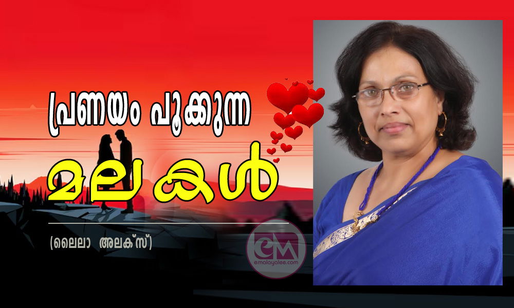 പ്രണയം പൂക്കുന്ന മലകൾ  (ലൈലാ  അലക്സ്)