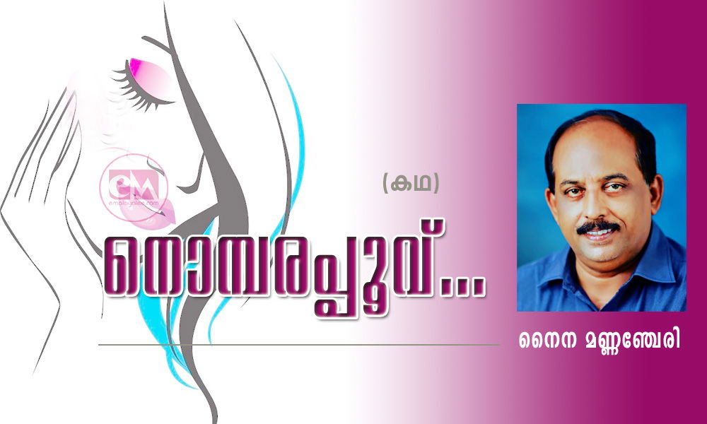  നൊമ്പരപ്പൂവ്...(കഥ: നൈന മണ്ണഞ്ചേരി)