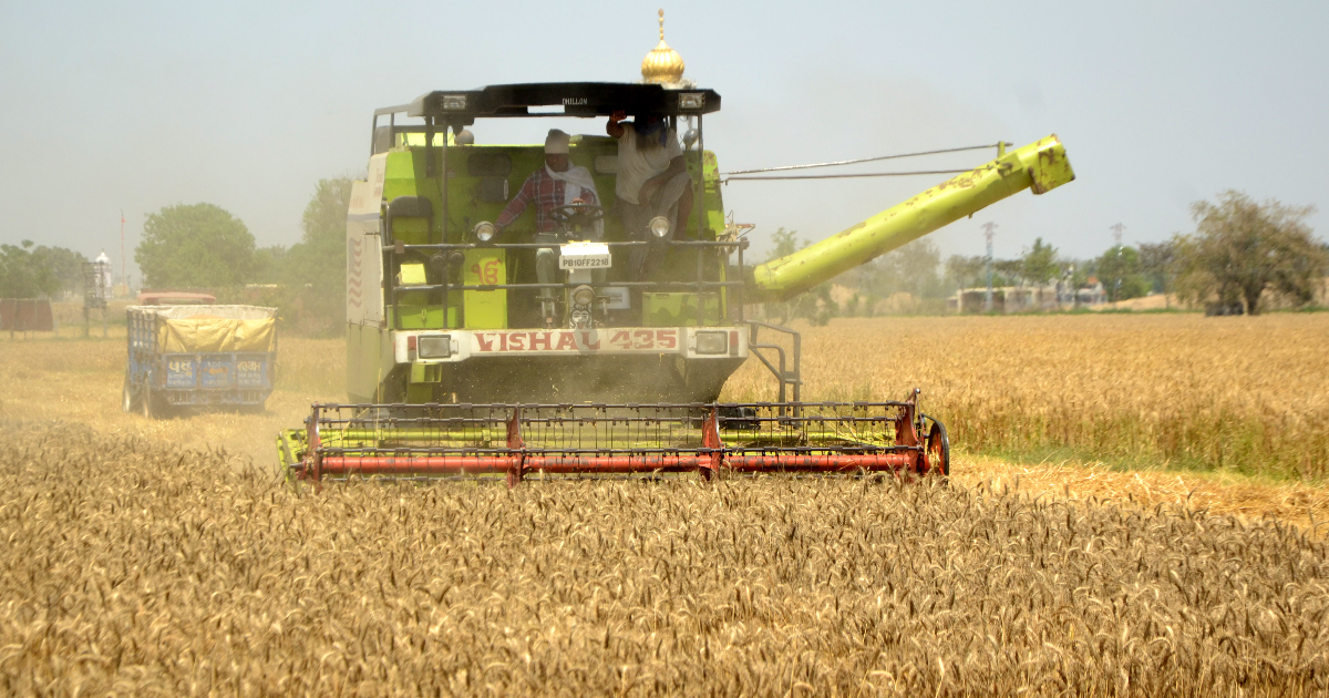 സർക്കാർ ഗണ്ണിബാഗുകളുടെ ഉപയോഗച്ചെലവ് 40 ശതമാനം വർദ്ധിപ്പിക്കാൻ തീരുമാനിച്ചു