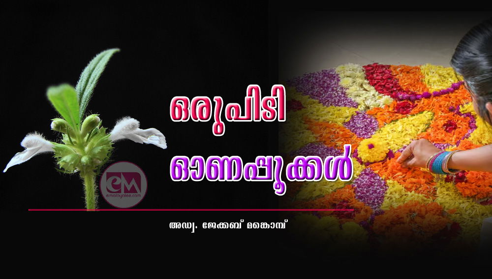 ഒരുപിടി ഓണപ്പൂക്കള്‍ (അഡ്വ. ജേക്കബ് മങ്കൊമ്പ്)