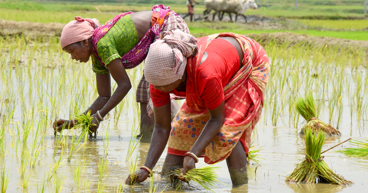 2030ഓടെ 50 ബില്യൺ ഡോളർ കയറ്റുമതി ലക്ഷ്യമിട്ട് 100 കാർഷിക ഭക്ഷ്യ സ്റ്റാർട്ടപ്പുകളെ ശാക്തീകരിക്കാൻ ‘ഭാരതി’ പദ്ധതി