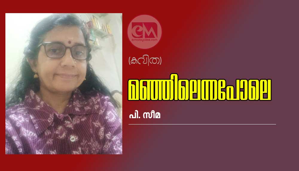 മഞ്ഞിലെന്നപോലെ (കവിത : പി. സീമ )