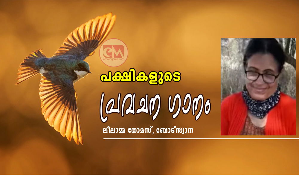 പക്ഷികളുടെ പ്രവചന ഗാനം (കവിത : ലീലാമ്മ തോമസ്, ബോട്സ്വാന)