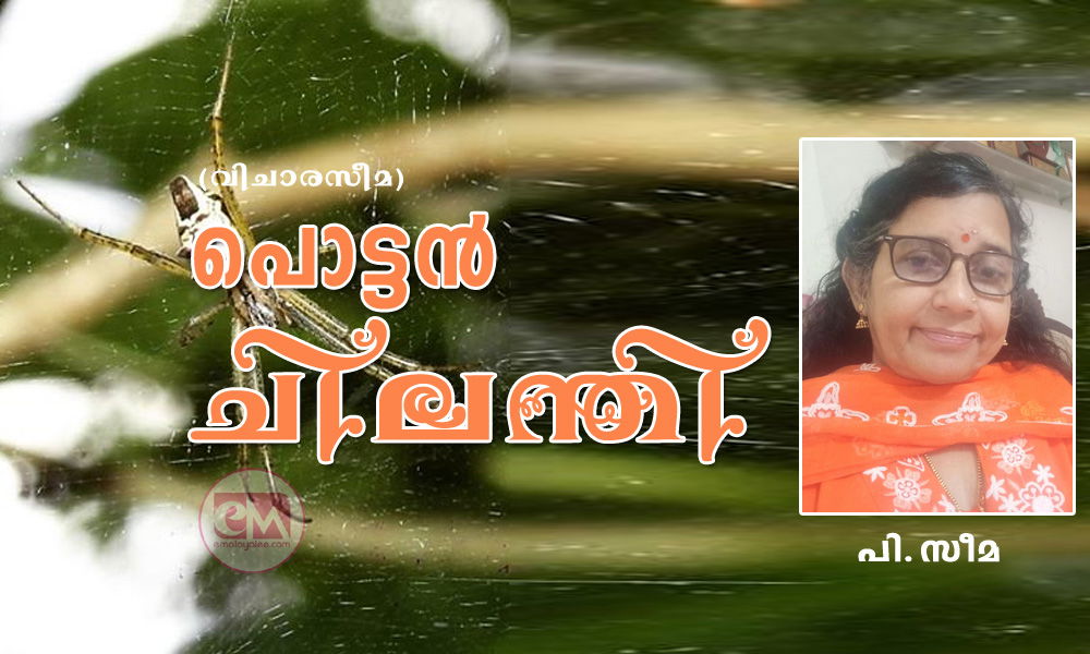 പൊട്ടൻ ചിലന്തി (വിചാരസീമ: പി.സീമ)