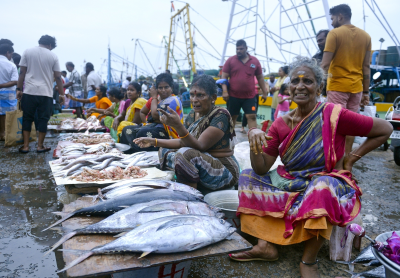 ചെമ്മീനും താരിഫ് വരുന്നു (അമേരിക്കൻ വീക്ഷണം)