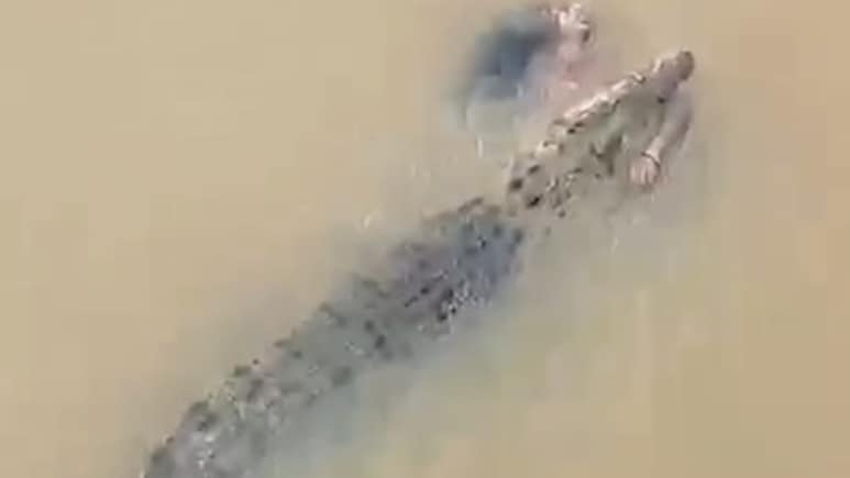 ഒഡിഷ ഖരസ്ത്രോത നദിയില് കുളിക്കാനിറങ്ങിയ സ്ത്രീയെ മുതല വലിച്ചുകൊണ്ടുപോയി