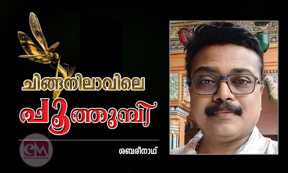 ചിങ്ങനിലാവിലെ പൂത്തുമ്പി (കവിത: ശബരീനാഥ്)