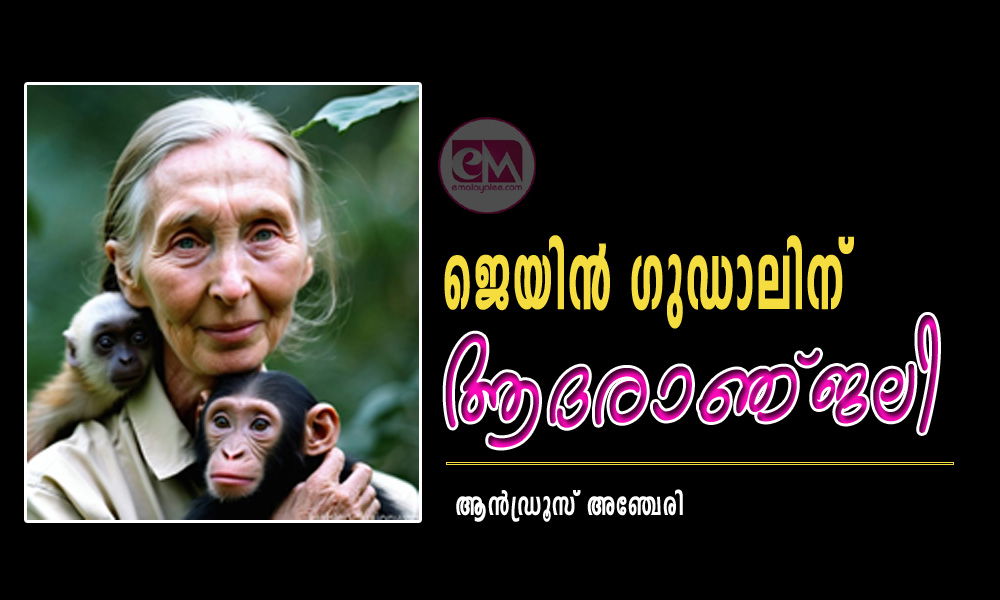 ജെയിൻ ഗുഡാലിന് ആദരാഞ്ജലി (കവിത: ആൻഡ്രൂസ് അഞ്ചേരി)