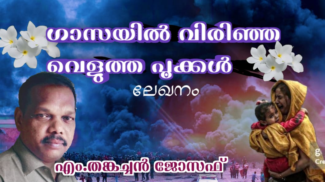 ഗാസയിൽ വിരിഞ്ഞ   വെളുത്ത പൂക്കൾ : ലേഖനം, എം. തങ്കച്ചൻ ജോസഫ്‌