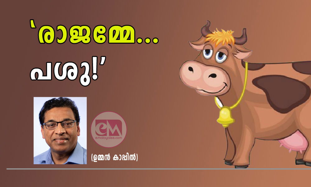 "രാജമ്മേ... പശു!" (ഉമ്മൻ കാപ്പിൽ)
