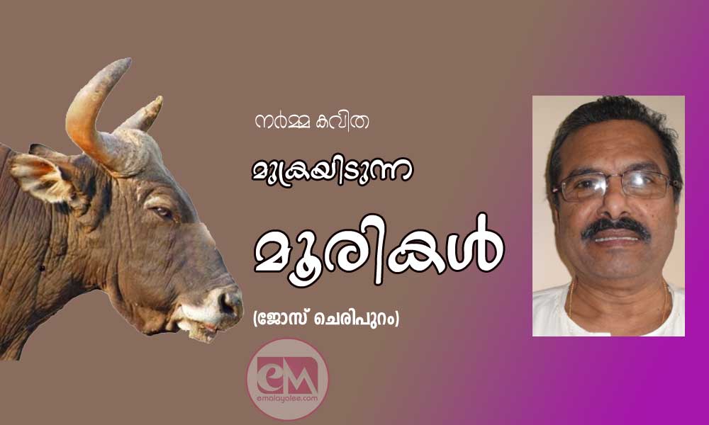 മുക്രയിടുന്ന മൂരികള്‍ (ജോസ് ചെരിപുറം)