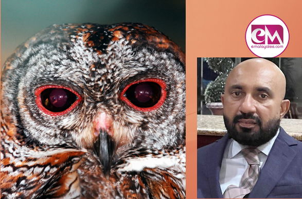 കാലൻ കോഴികൾ മരണത്തിന്റെ കാവൽക്കാരോ? (ശ്രീകുമാർ ഉണ്ണിത്താൻ)