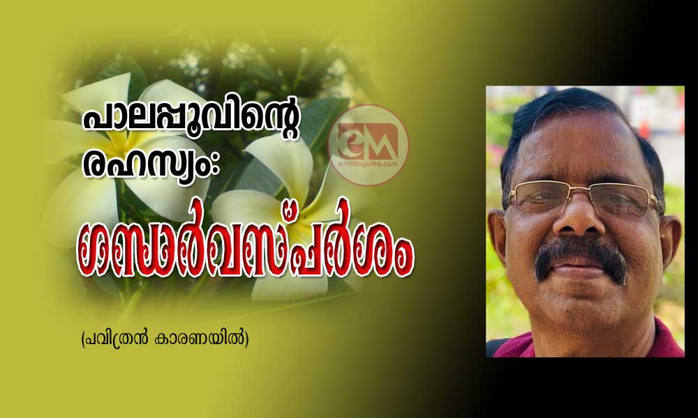 പാലപ്പൂവിന്റെ രഹസ്യം: ഗന്ധർവസ്പർശം ((ചെറുകഥ: പവിത്രൻ കാരണയിൽ)