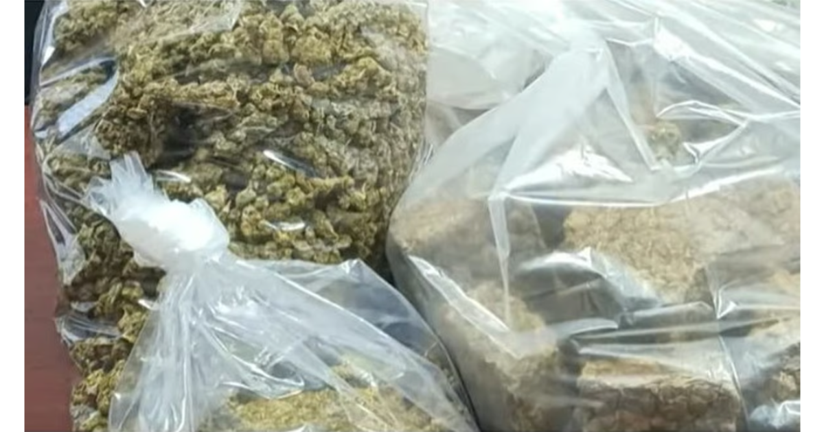 നെടുമ്പാശ്ശേരിയില് വന് ലഹരിവേട്ട ; പിടികൂടിയത് ആറരക്കോടി രൂപ വരുന്ന ഹൈബ്രിഡ് കഞ്ചാവ് ; യുവാവ് പിടിയിൽ