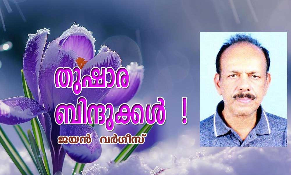 തുഷാര ബിന്ദുക്കൾ ! (കവിത : ജയൻ വർഗീസ്.)