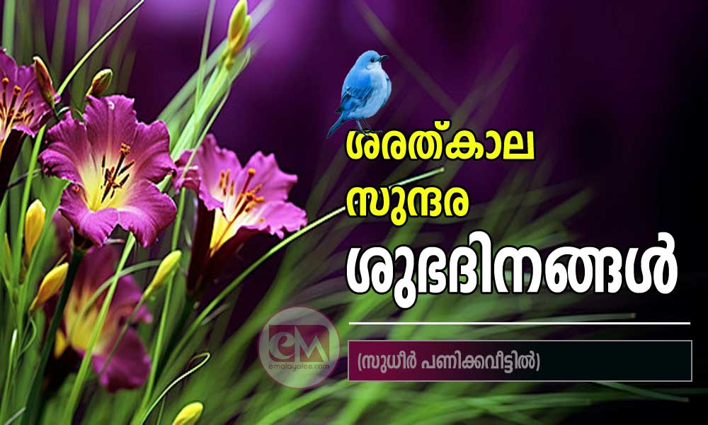 ശരത്കാല സുന്ദര ശുഭദിനങ്ങൾ (സുധീർ പണിക്കവീട്ടിൽ)