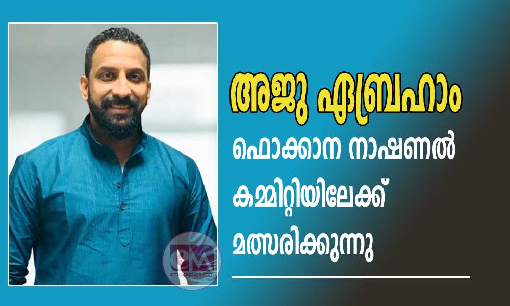 അജു ഏബ്രഹാം ഫൊക്കാന നാഷണൽ കമ്മിറ്റിയിലേക്ക് മത്സരിക്കുന്നു