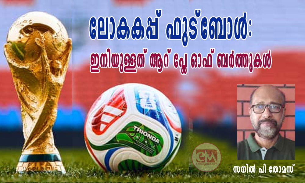 ലോകകപ്പ് ഫുട്ബോള്: ഇനിയുള്ളത് ആറ് പ്ലേ ഓഫ് ബര്ത്തുകള് ( സനില് പി തോമസ്)