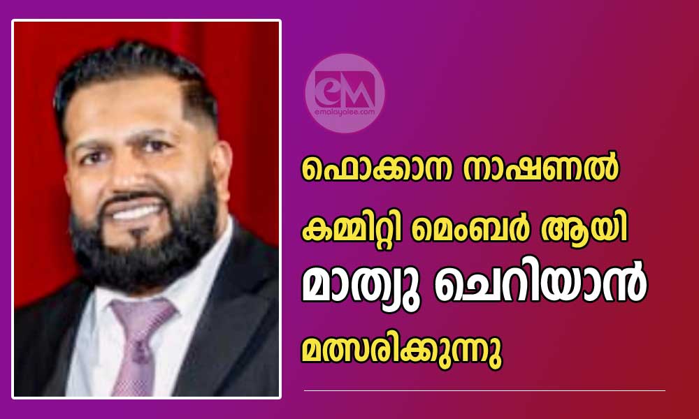 ഫൊക്കാന നാഷണൽ കമ്മിറ്റി മെംബർ ആയി മാത്യു ചെറിയാൻ മത്സരിക്കുന്നു