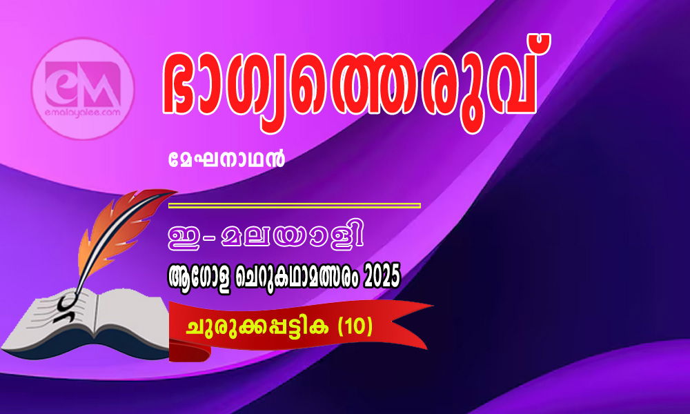 ഭാഗ്യത്തെരുവ് - മേഘനാഥന് (ഇ-മലയാളി ആഗോള ചെറുകഥാമത്സരം 2025- 10)