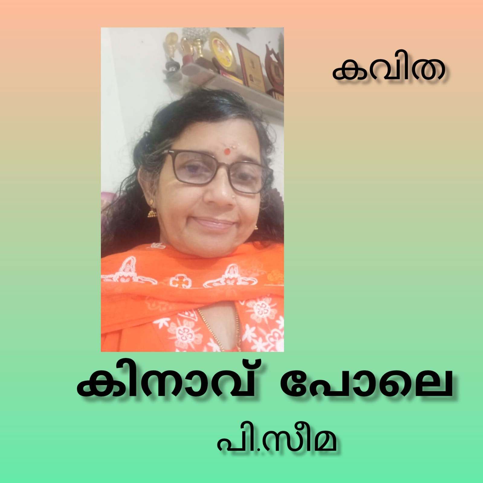 കിനാവ് പോലെ ( കവിത : പി.സീമ )