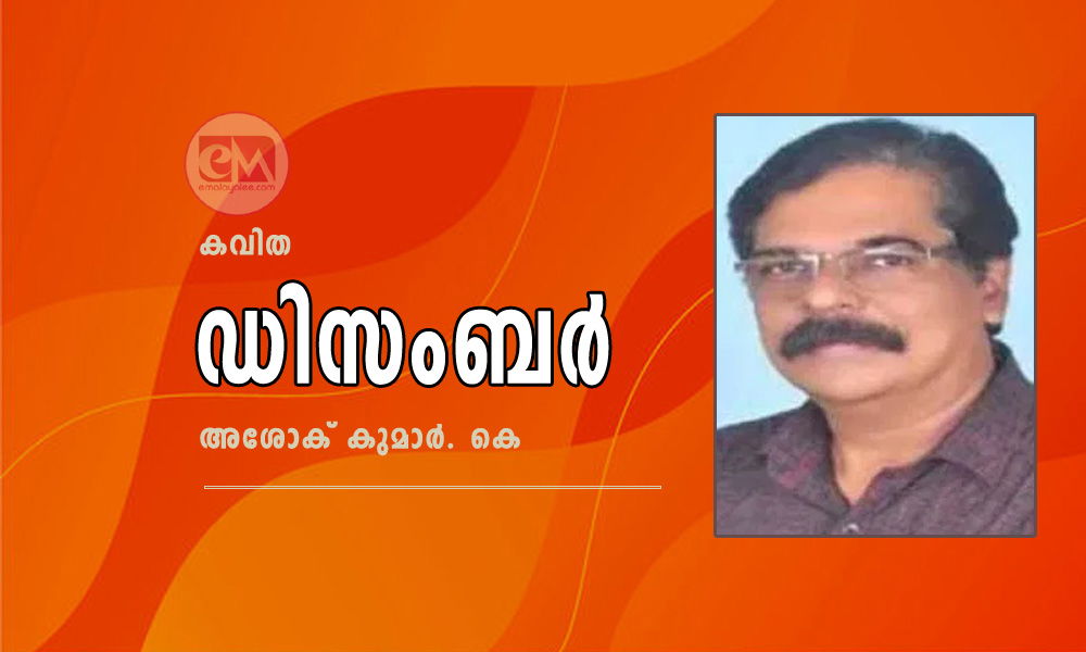 ഡിസംബർ (കവിത: അശോക് കുമാർ. കെ)