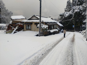 ന്യൂ യോർക്കിൽ മഞ്ഞുവീഴ്ച്ച തുടരുന്നു, നിരവധി ഫ്ലൈറ്റുകൾ റദ്ദാക്കി (പിപിഎം)