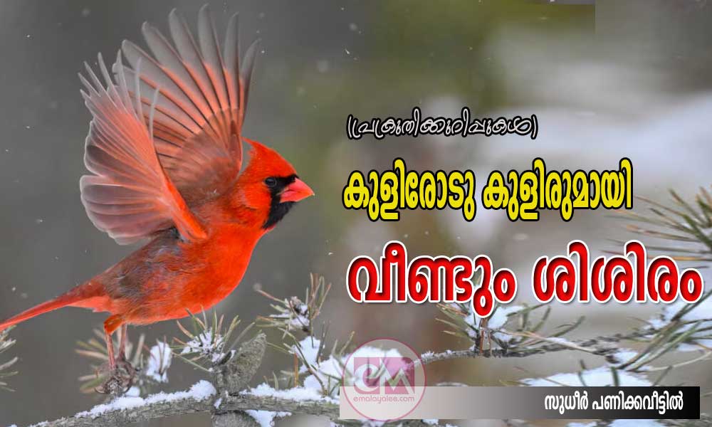 കുളിരോടു കുളിരുമായി വീണ്ടും ശിശിരം (പ്രക്രുതിക്കുറിപ്പുകള്: സുധീര് പണിക്കവീട്ടില്)