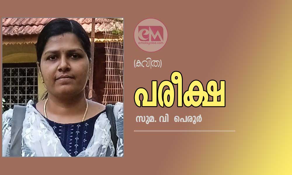 പരീക്ഷ (കവിത: സുമ. വി പെരൂർ)