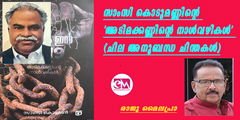 സാംസി കൊടുമണ്ണിന്റെ 'അടിമക്കണ്ണിന്റെ നാള്‍വഴികള്‍' (ചില അനുബന്ധ ചിന്തകള്‍)-രാജു മൈലപ്രാ